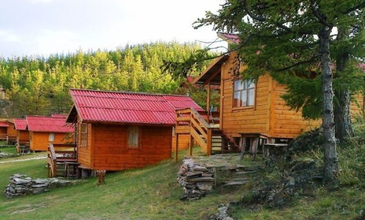 Отдельный дом в лесной зоне н/благ., 2-х местное/3-х местное размещение