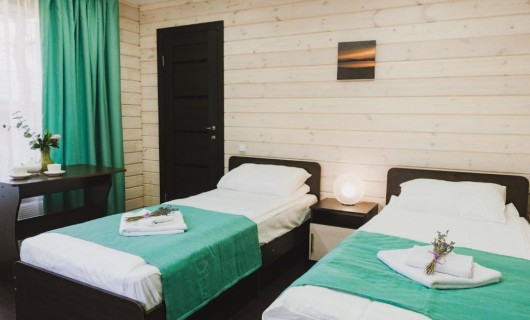 Стандарт мини