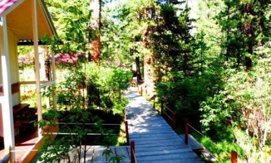 2-х местные стандарт домики неблагоустроенные