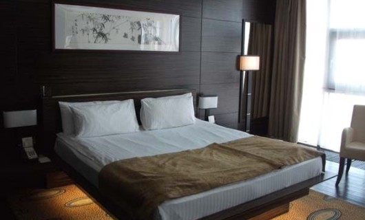 Apartment SAYEN (SGL/DBL)