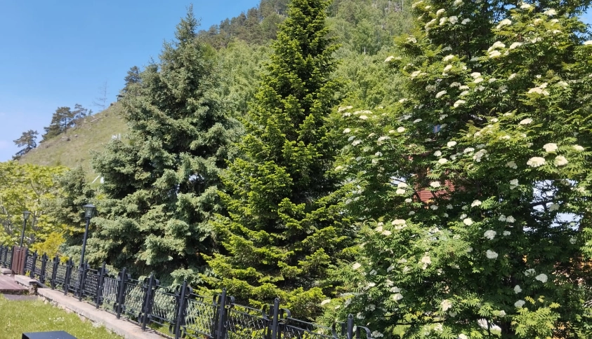 Байкальские каникулы