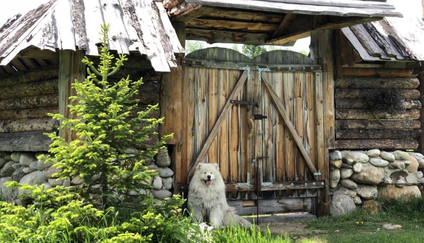 Байкальские каникулы