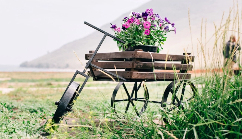 Байкальские каникулы