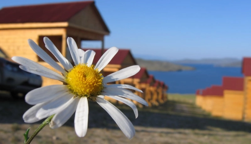 Байкальские каникулы