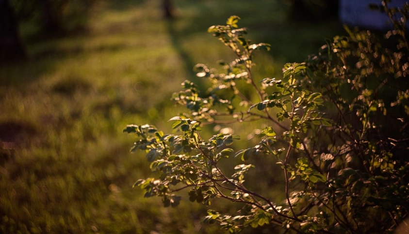 Байкальские каникулы