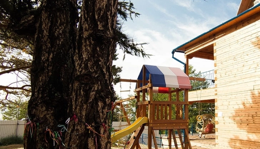 Байкальские каникулы