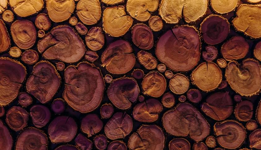 Байкальские каникулы