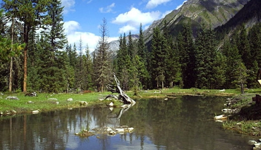 Байкальские каникулы