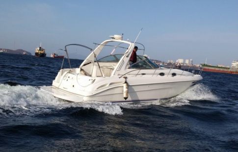 Катер Sea Ray 310 Stalker