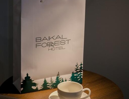 Отель "Baikal Forest Hotel" 4*
