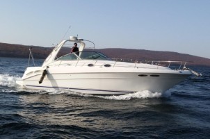 Катер Sea Ray 310 Stalker