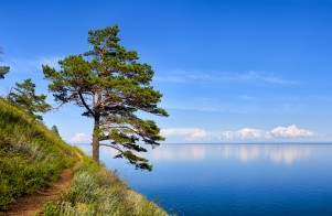 Тур "Байкальские каникулы" июнь - сентябрь  2025