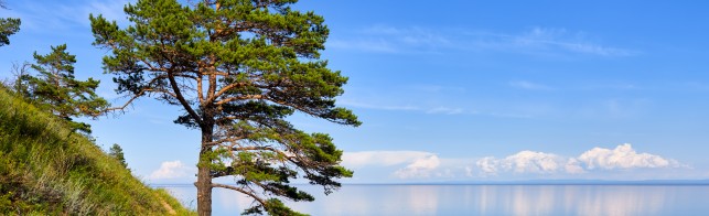Тур "Байкальские каникулы" июнь - сентябрь  2025