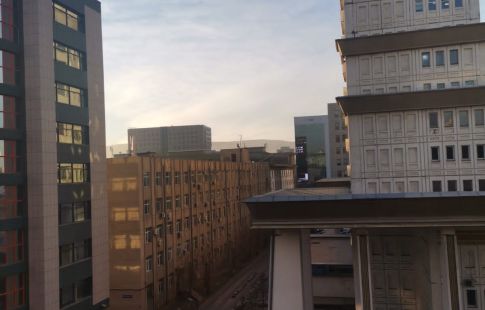Тур в Монголию из Иркутска