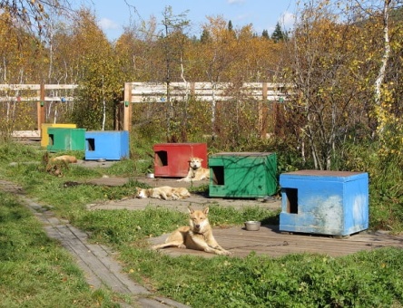 Эмоциональное шоу в усадьбе Тюрюминых, пос. Листвянка