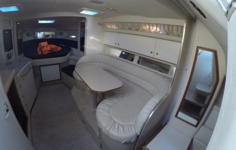 Катер Sea Ray 310 Stalker