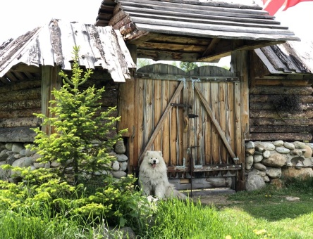 Коттедж "Baikal Village Eco Lodge" Снежная